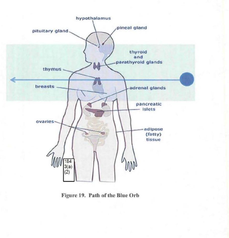 DOW-UAP-D173: Figure 19, "Path of the Blue Orb", from BAASS's preliminary report of 17 November 2009 on an August 2007 incident near Davis, California. A generic body outline with the endocrine glands labelled, and an arrow marking the horizontal path the reporting witness said the orb took through her upper body.