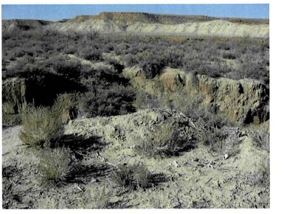 DOW-UAP-D173: Photo #008, taken 17 November 2009 with a Sony Cybershot DSC-H20 near the Utah ranch: "Dirt mound where creature was seen standing on hind legs when shot by" (name redacted). Sagebrush and an eroded ravine below a mesa.