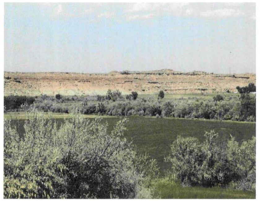DOW-UAP-D174: landscape photograph on the cover of the BAASS "Utah Ranch Investigation" report (Utah Task Force Investigation, March 22-26 and April 19-23, 2010), showing green fields, brush and a pale mesa escarpment. The report does not caption the photo or state exactly where it was taken.