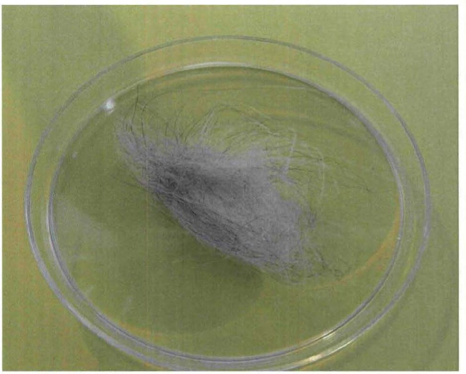 DOW-UAP-D174, Figure 6: "Unknown hair sample - close up photo. Sample taken from [redacted] residence", a clump of grey and dark hair in a glass dish, photographed by BAASS in 2010.